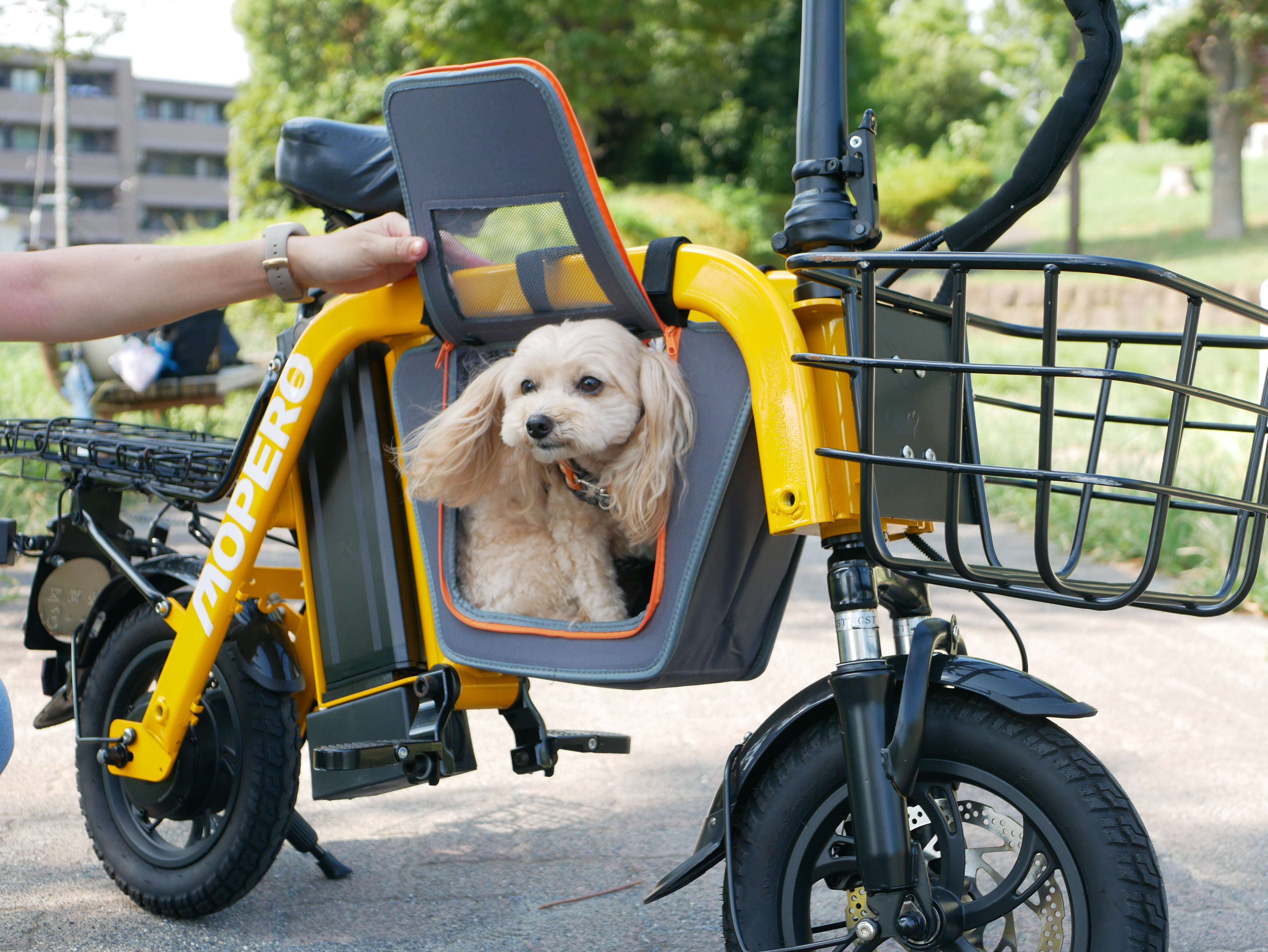 MOPERO mini cargo / Fiido Q1S 専用ペット用センターバッグ