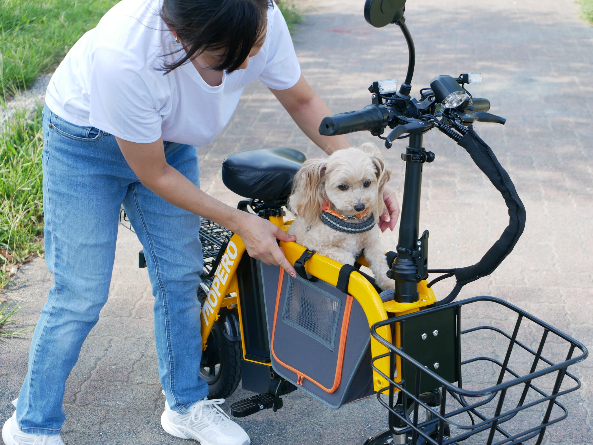 MOPERO mini cargo / Fiido Q1S 専用ペット用センターバッグ