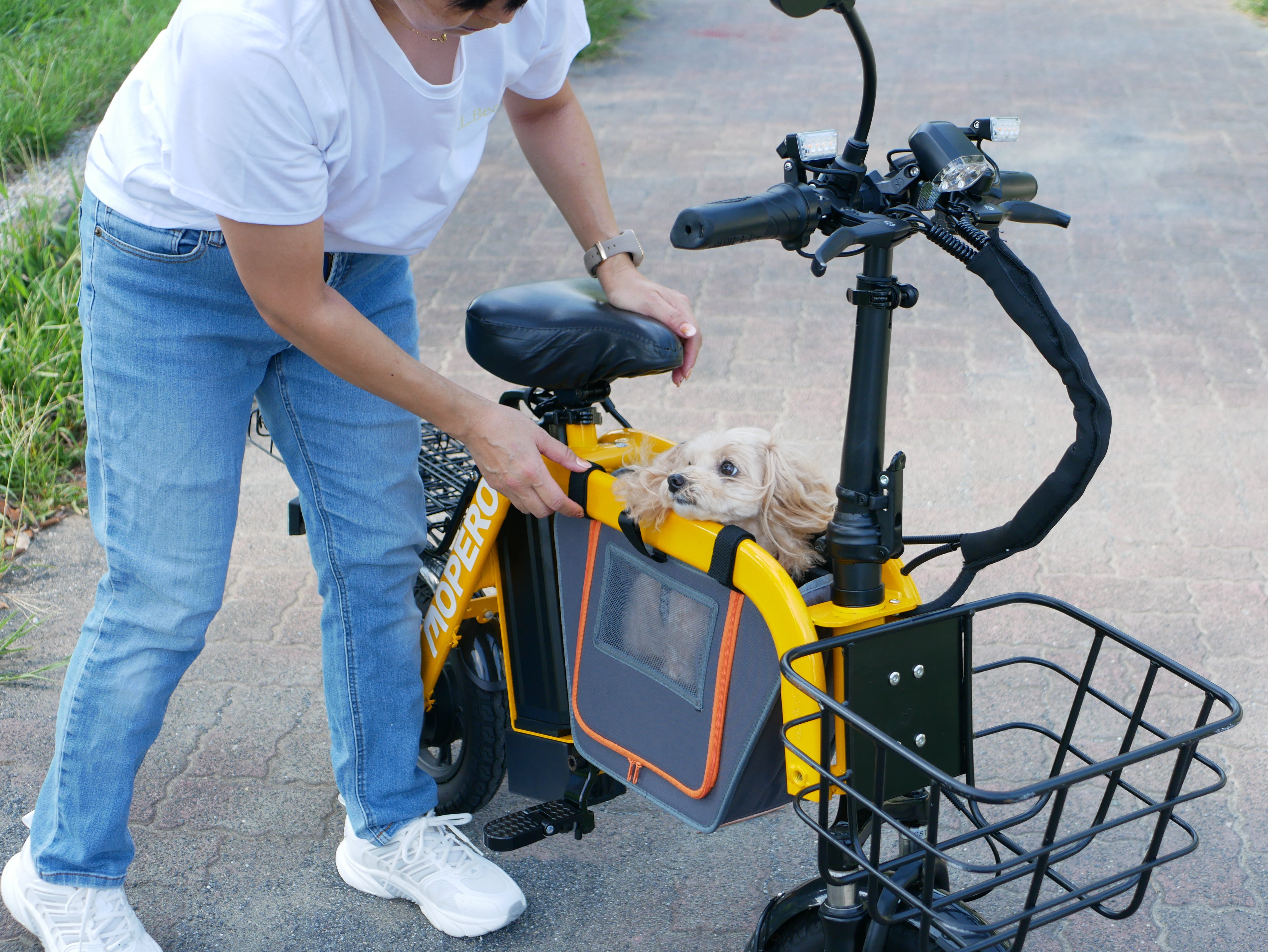 MOPERO mini cargo / Fiido Q1S 専用ペット用センターバッグ